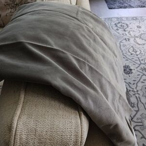 Pottery Barn cotton velvet blackout curtain